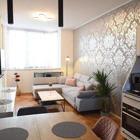 Stadtnest - Dachterrassenappartement *